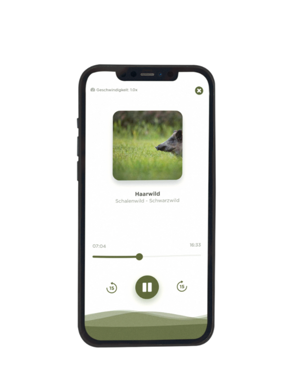 Audio Trainer Jägerschmiede