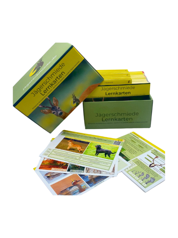 Lernkarten Jägerschmiede